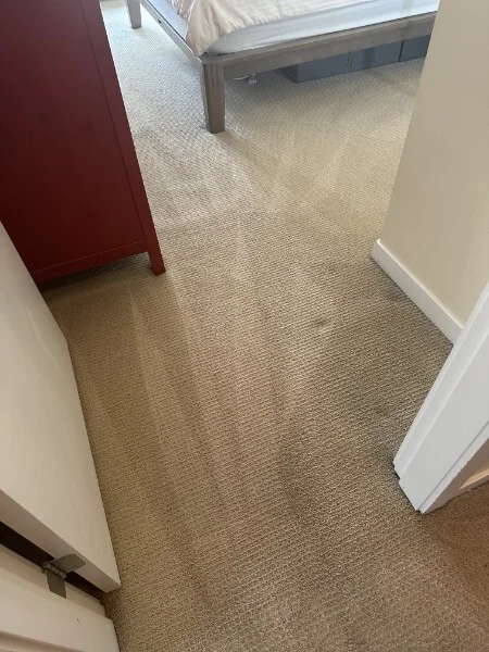Freshly cleaned bedroom carpet with the extraction wand strokes still visible while it dries — a 21st-floor apartment in Burnaby