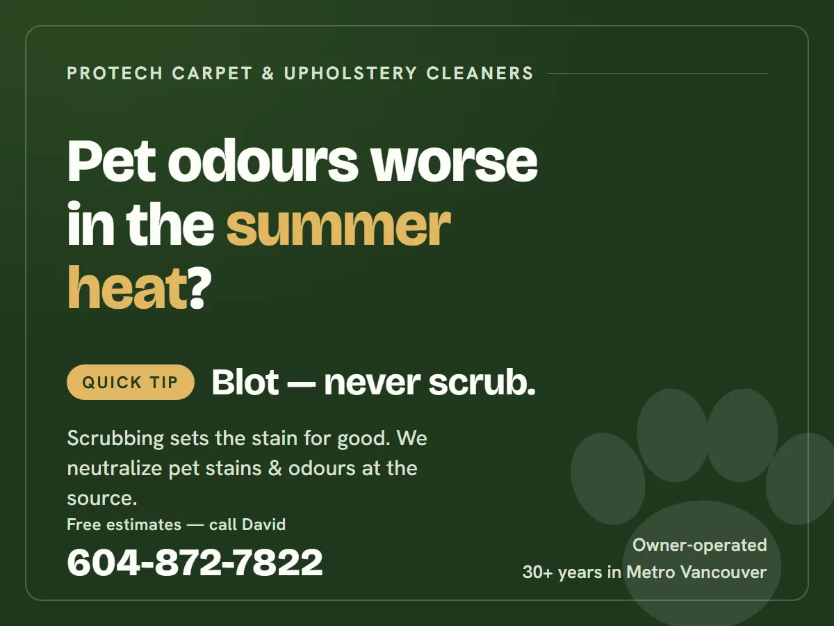 Quick tip: blot pet stains, never scrub